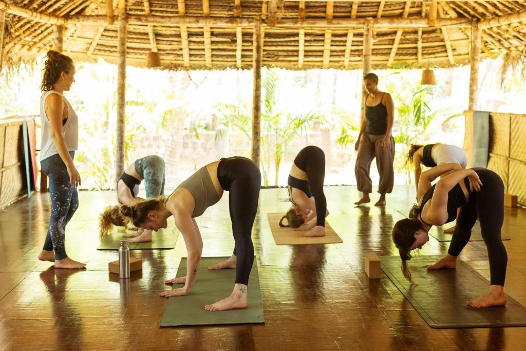 The Palm Trees Ayurvedic Resort Patnem  Facilities  Attractions 7