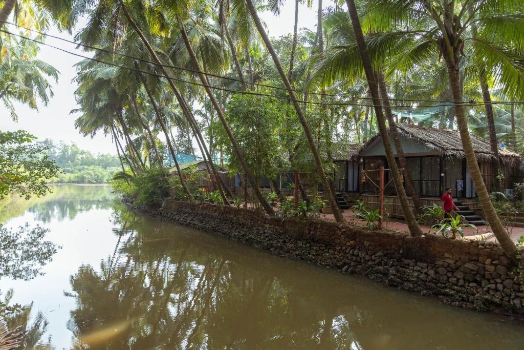 The Palm Trees Ayurvedic Resort Patnem  Facilities  Surrounding Environment 15