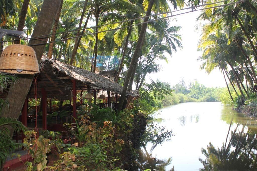 The Palm Trees Ayurvedic Resort Patnem  Property Views  View 30