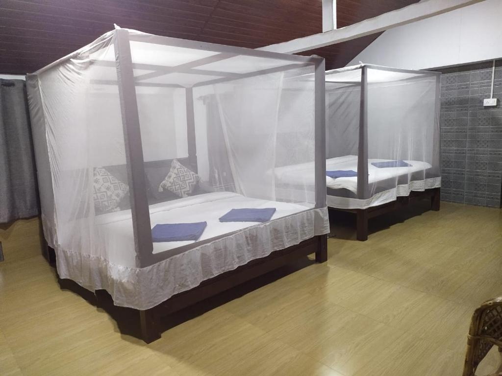 The Palm Trees Ayurvedic Resort Patnem  Rooms  Rooms Image 14 14