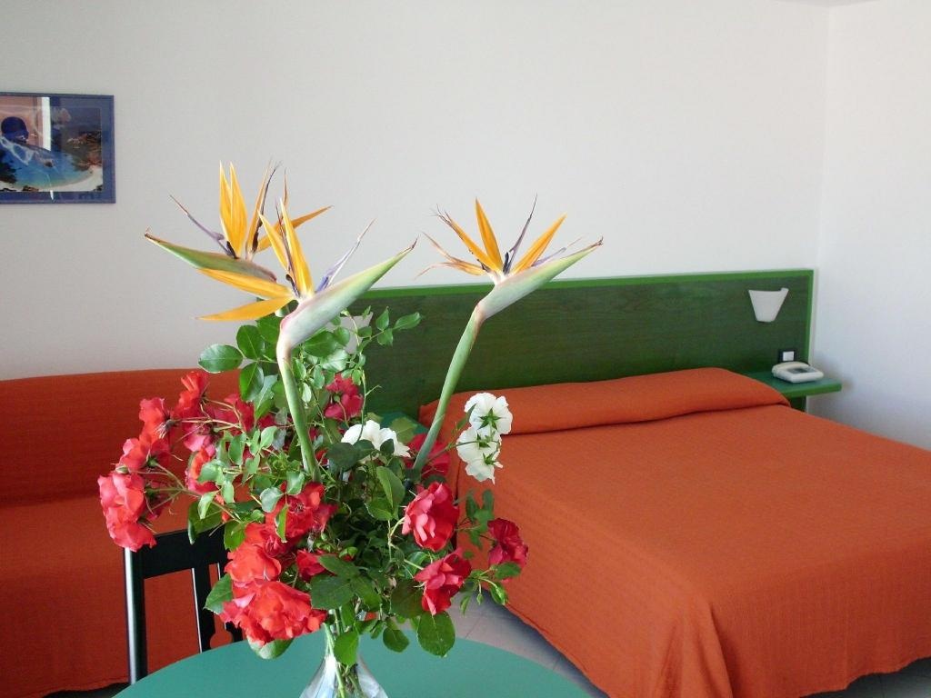Hotel Piccada  Rooms  Rooms Image 5 5