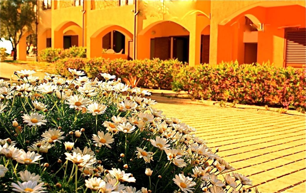 Residenze LIsola Surf House  Facilities  Garden 20