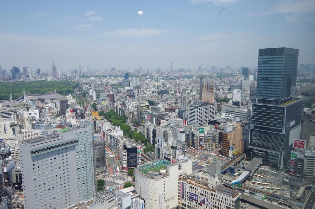 Cerulean Tower Tokyu Hotel A Pan Pacific Partner Hotel  Property Views  View 16