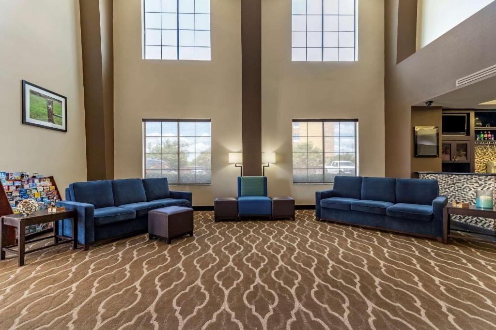 Comfort Suites Buda Austin South  Property Views  Lobby 3
