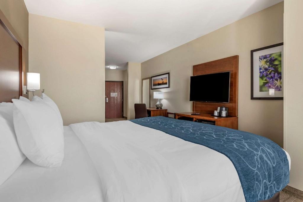 Comfort Suites Buda Austin South  Rooms  1 King Bed Efficiency Suite Nonsmoking Accessible Suite Room 8
