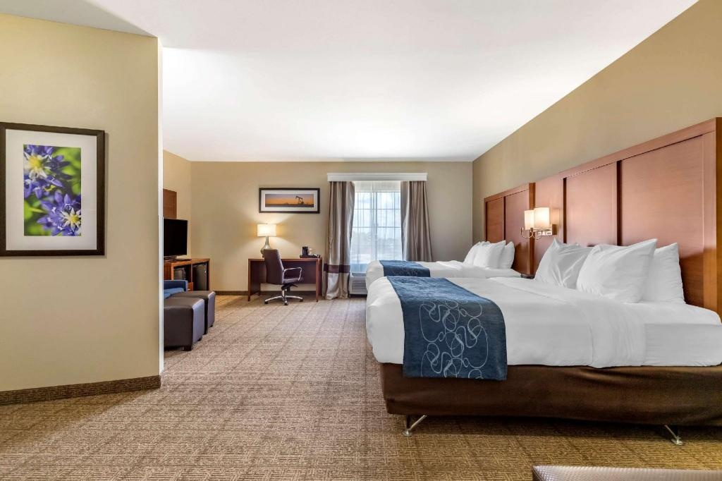 Comfort Suites Buda Austin South  Rooms  2 Queen Beds Suite No Smoking Accessible Suite Room 1