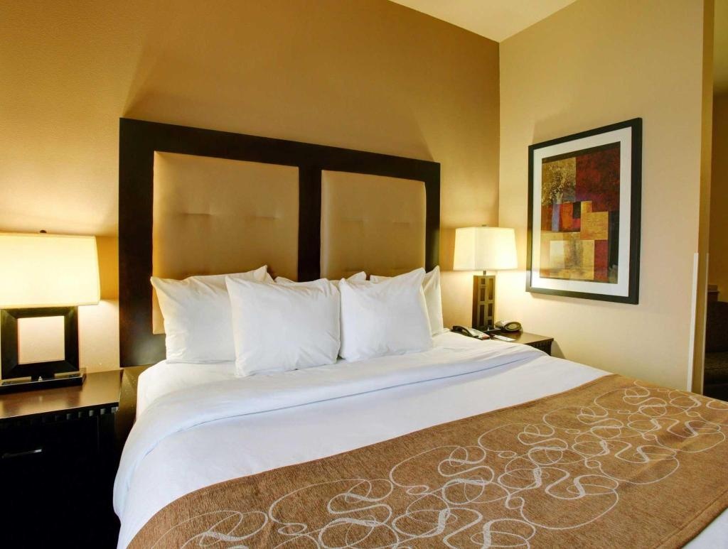 Comfort Suites Buda Austin South  Rooms  King Suite Non Smoking 13