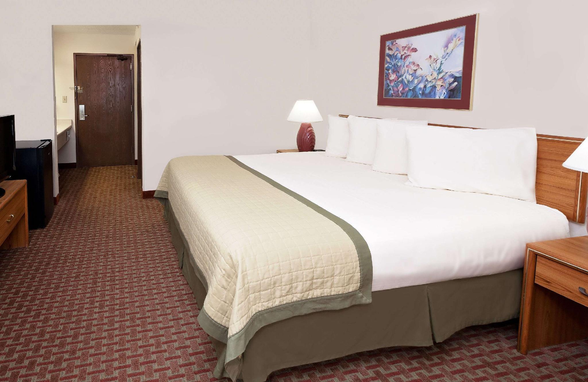 1 King Bed Non Smoking